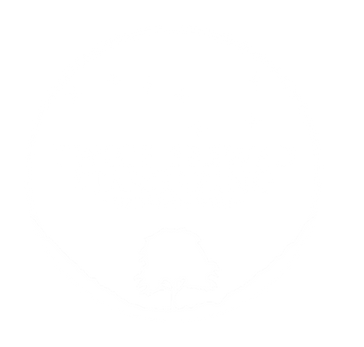 stargazing logo